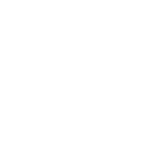 Logo Emanuel Schi frei W_GRK Emanuel Schi Logo White